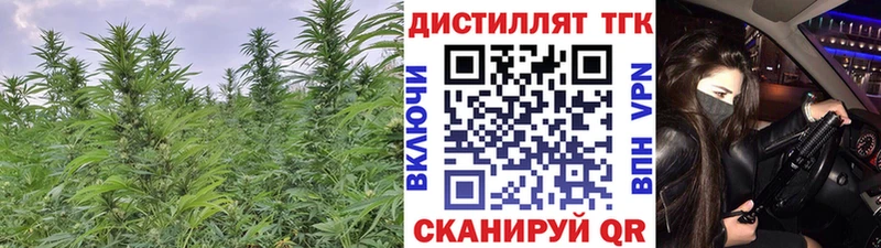 mega ссылка  Покров  Дистиллят ТГК жижа 