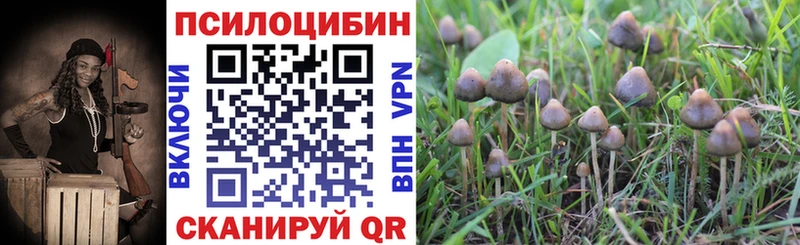 мориарти официальный сайт  Покров  Галлюциногенные грибы прущие грибы 